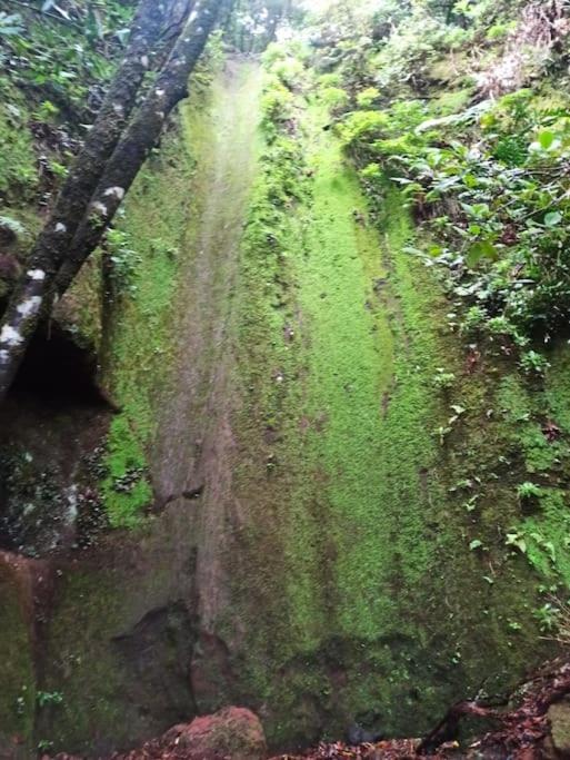 Monte Verde Chinamada Eksteriør bilde