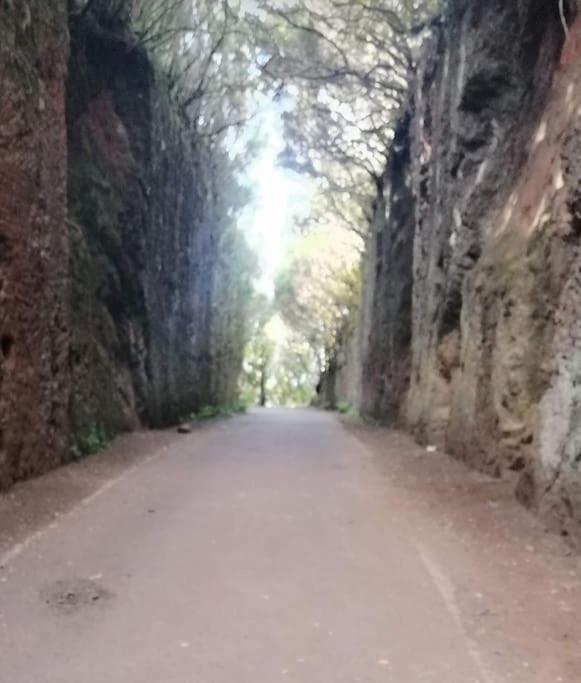Monte Verde Chinamada Eksteriør bilde